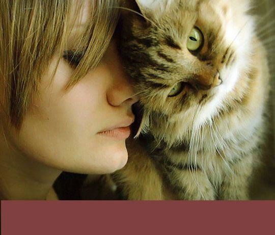 Арина Архипова