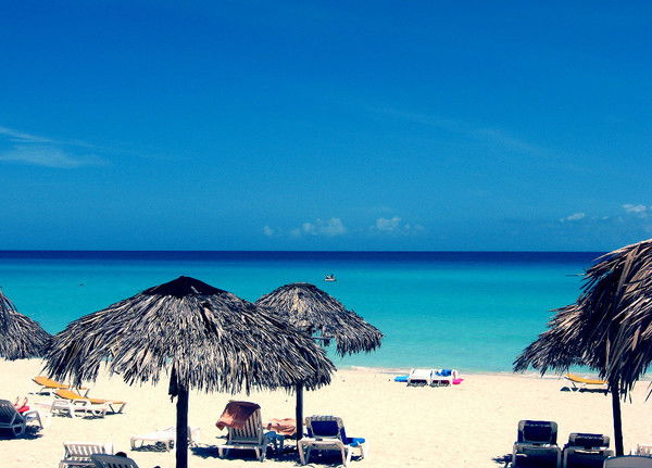 Анна Овсянникова