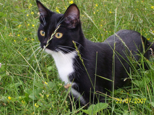 Светлана Федорцова