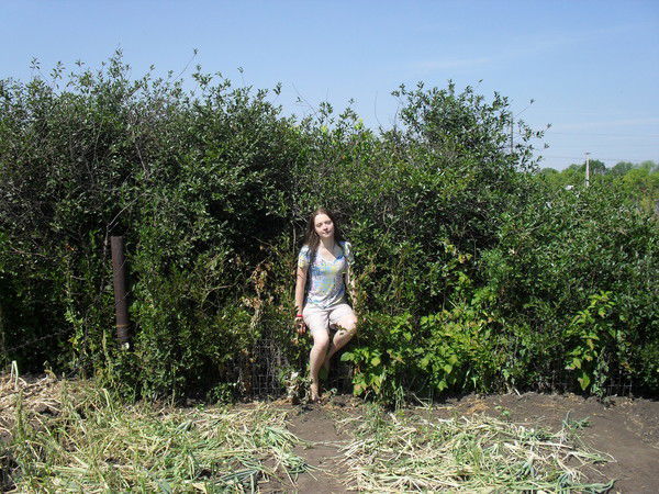 Анжела Гончева