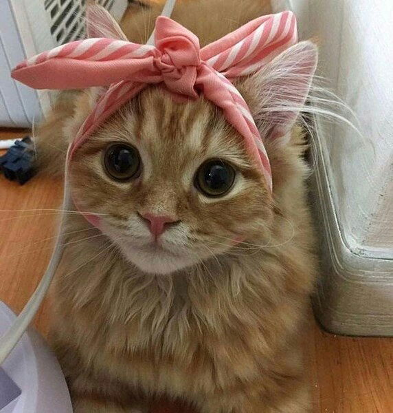 Ярик БАСОВА