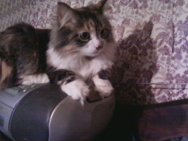 Дмитртй Диомидов