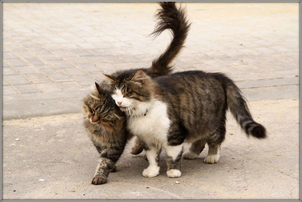 Татьяна Филиппова