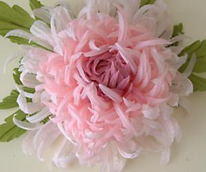 Чп "натокс- Лайт"