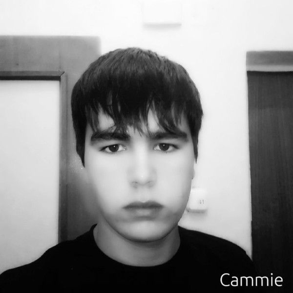 Аминов Алик