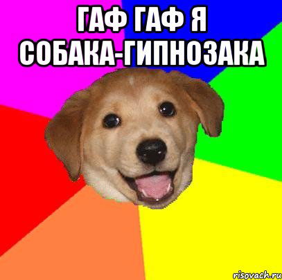 Псобака-Гипнозака