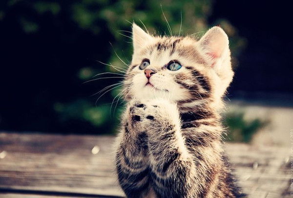 Виталий Щербаков