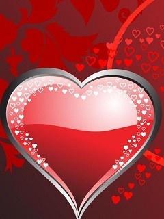 Стану Донором Почки