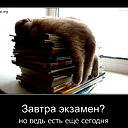 """лена """