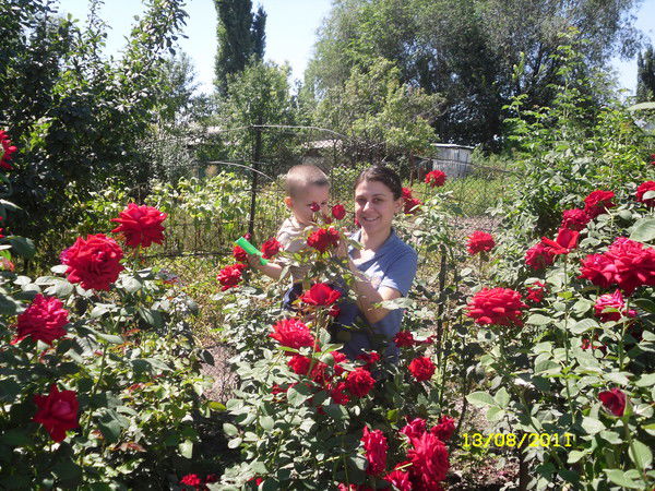 Анюта Волкова