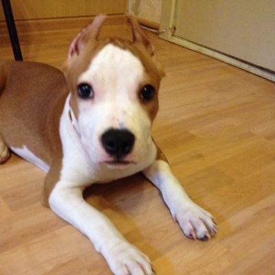 Виктория Жучкова