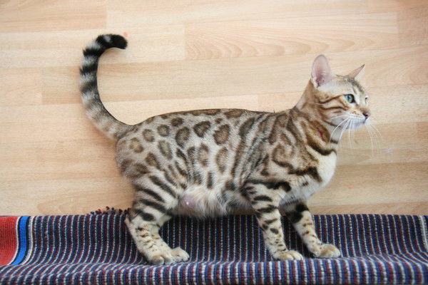 Надежда Белова