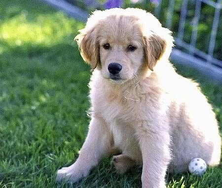 Ольга Мочалова