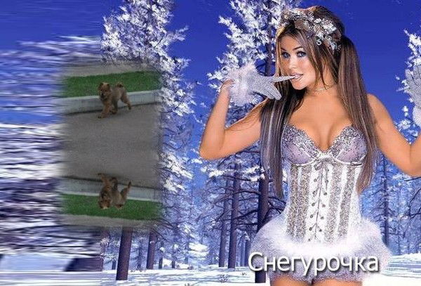 Вера Галлямова