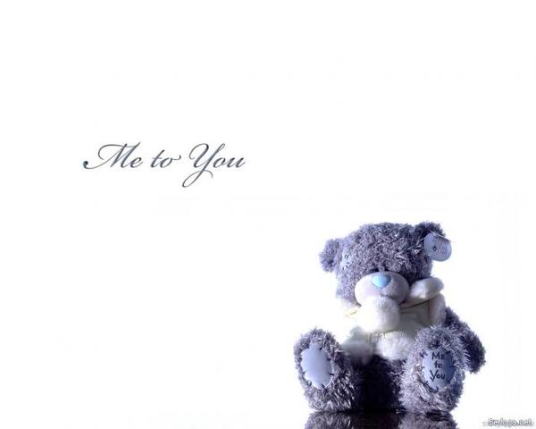 Даша Степаненко