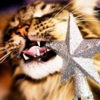 Татьяна Брославская