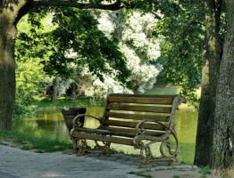 Светлана Светлана