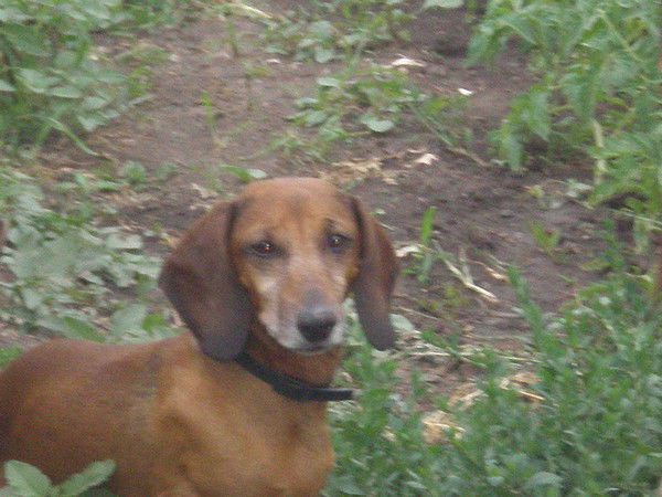 Манаенкова Ольга