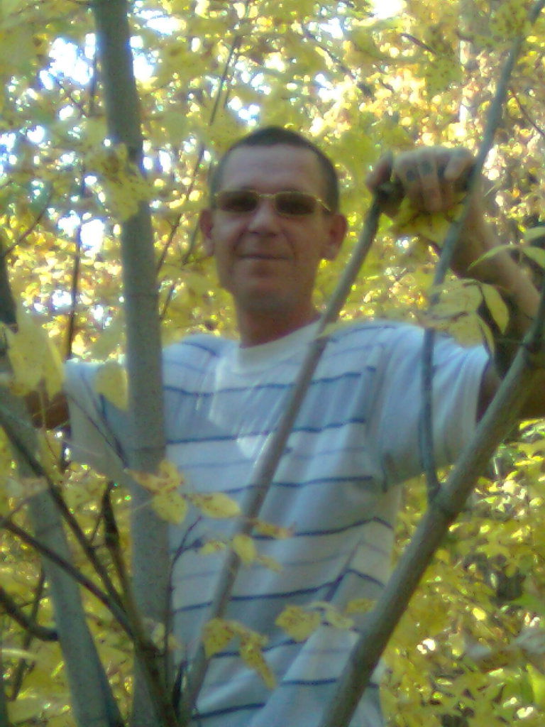 Александр Плеханов