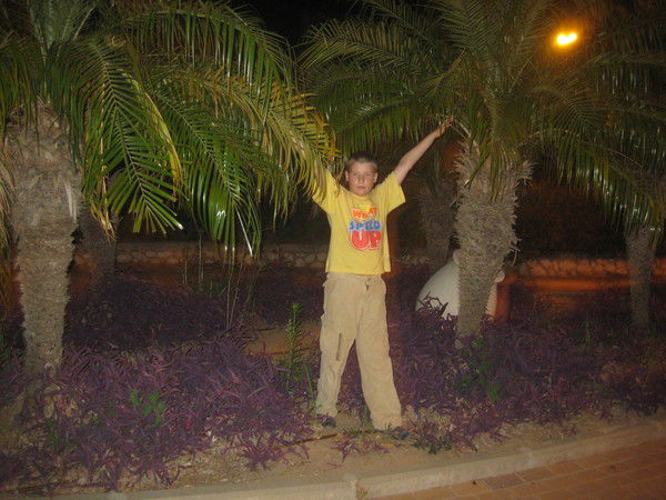 Артём Овсянников