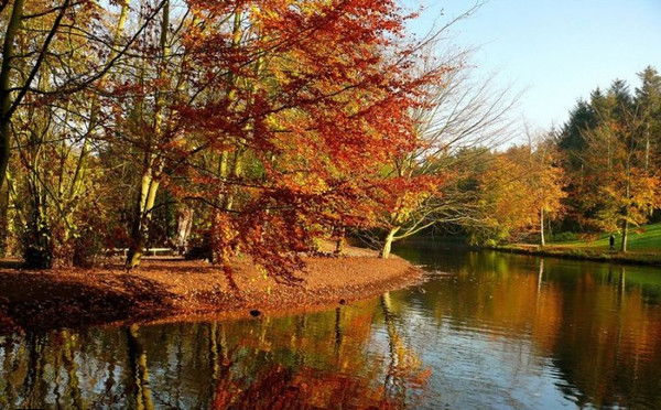 Сауле Садвакасова