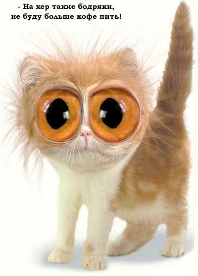 Дмитрий Раков