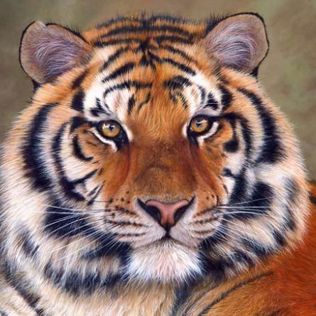 Ирек Тукбаев