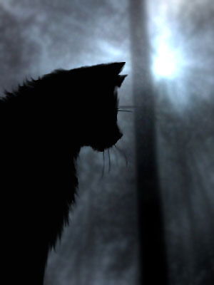 Дарья Хабибуллина