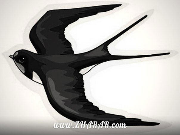 Алмас Искаков