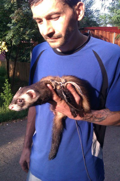 Нечьто Бессовесный