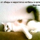 Василь Мухаметгалеев