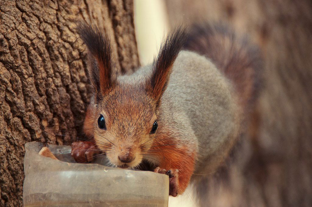 Дмитрий Жуков