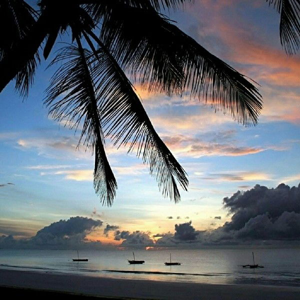 Марья Фисенко