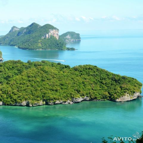 Ольга Мастихина