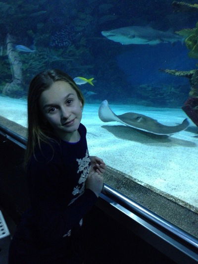 Елизавета Шевченко