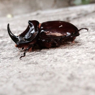 Игорь Морозов