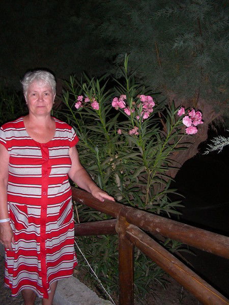 Вера Осипова(Сенник)