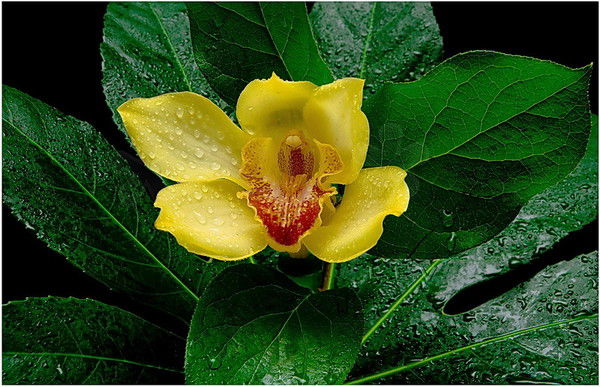 Надежда Близнюк