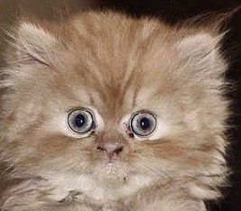 Виктор Давыдов