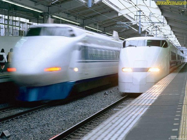 Отырар Несие