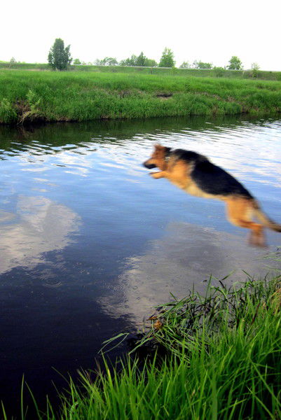 Наталья Орлова