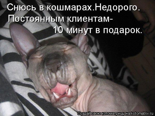 Дима Астахов