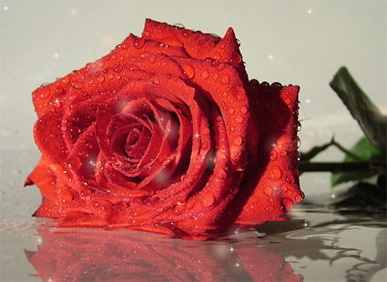 Кристина Биченкова