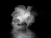 Альбина Зиатдинова