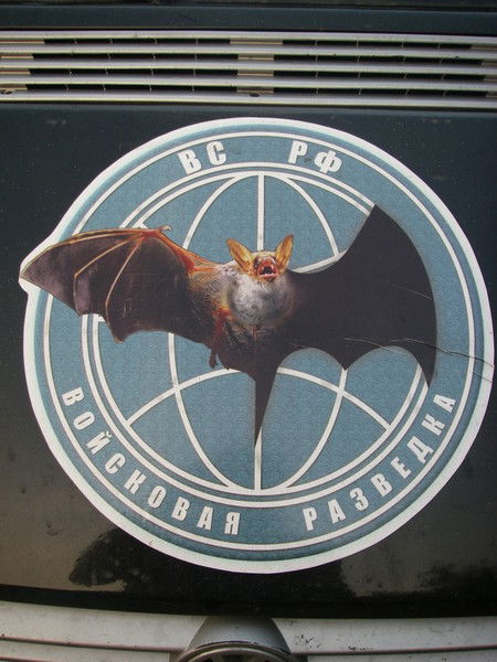 Стёпа Васич