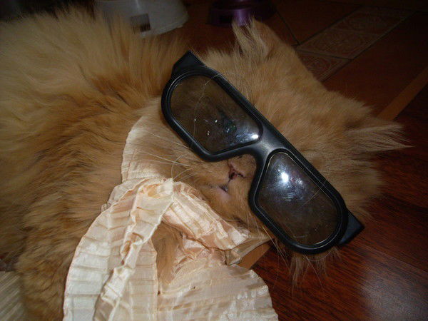 Катя Крупина