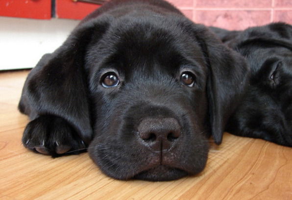 Полина ........