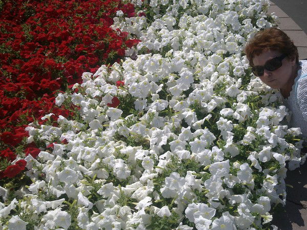 Елена Преснякова