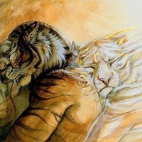 Геннадий Косогов