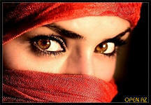 Светлана Палкина